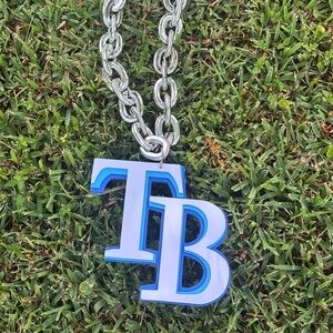 Tampa Bay Rays 3D Fan chain necklace MLB Game Gear